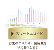 yX}[gGRirzƂ̃GlM[gpʂ鉻܂B