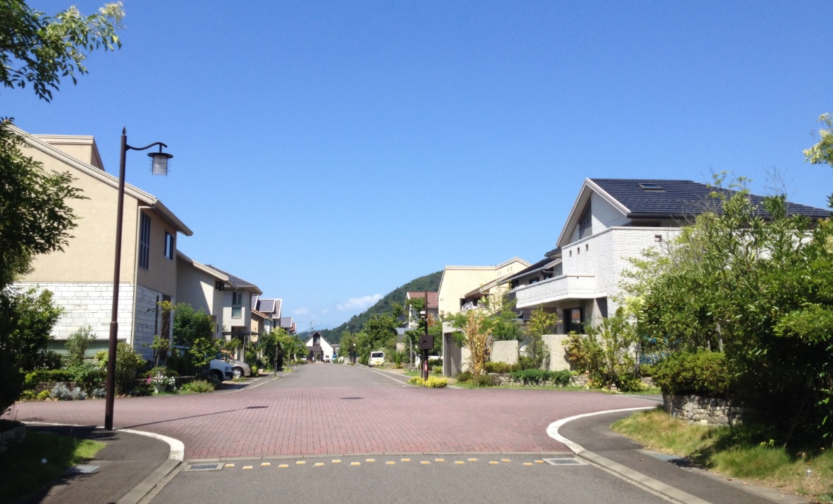 グリーンランド柄山