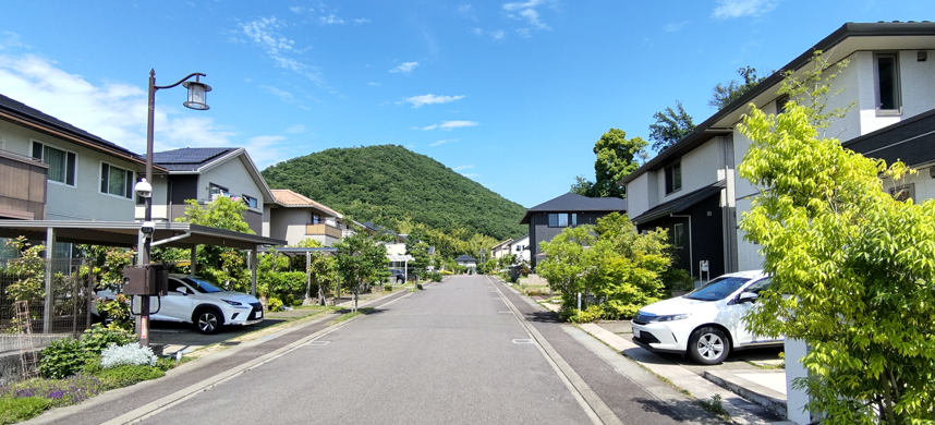 グリーンランド柄山